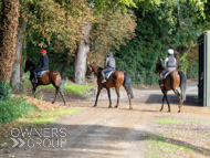 EL120925-50 - Emma Lavelle Stable Visit